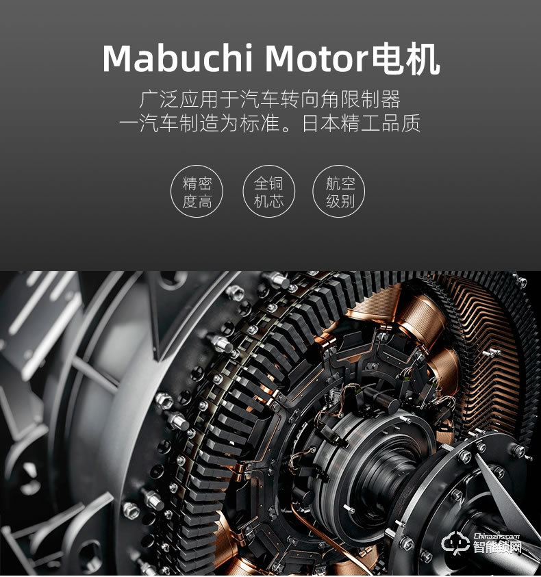 揚子智能鎖 888S自動豪華別墅指紋鎖