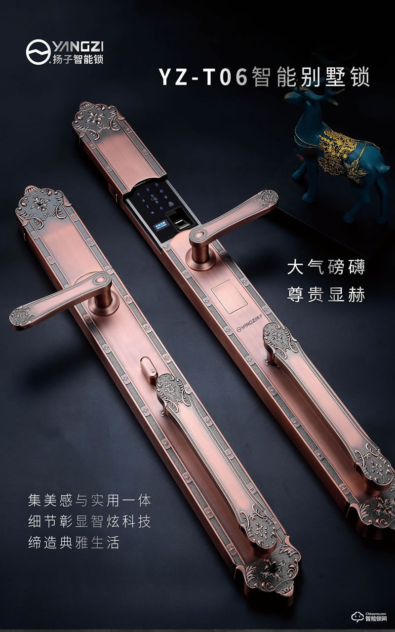 揚(yáng)子智能鎖 T06豪華別墅式智能鎖