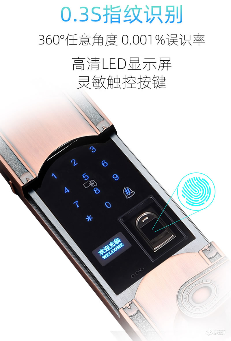 揚(yáng)子智能鎖 T06豪華別墅式智能鎖