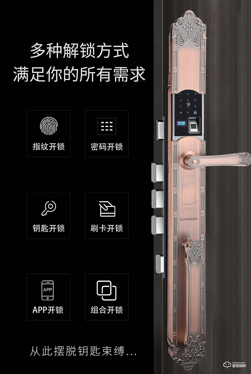 揚(yáng)子智能鎖 T06豪華別墅式智能鎖