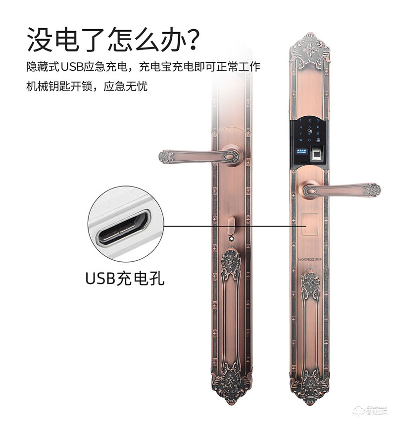 揚(yáng)子智能鎖 T06豪華別墅式智能鎖