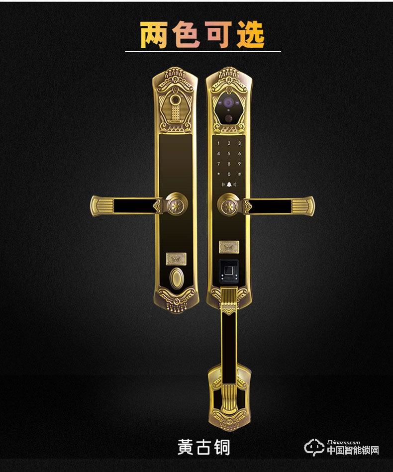 九萬(wàn)里智能鎖C900 歐式古典別墅大門鎖指紋密碼鎖