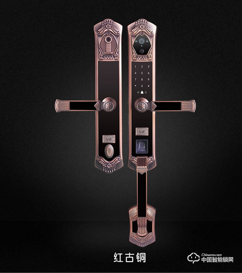 九萬(wàn)里智能鎖C900 歐式古典別墅大門鎖指紋密碼鎖