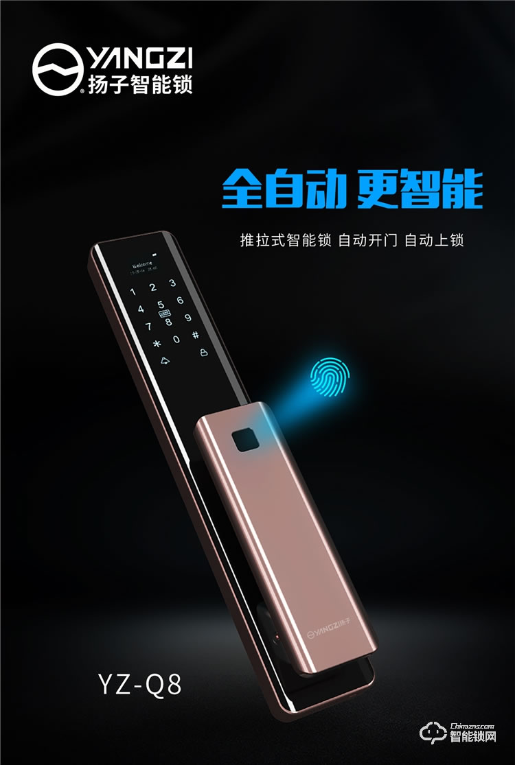 揚子智能鎖 Q8家用防盜門推拉式智能門鎖