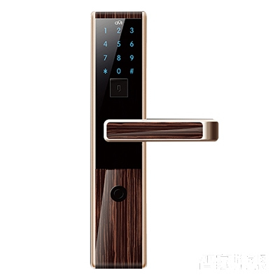 全民家用智能鎖 電子刷卡門鎖 虛位密碼設置門鎖