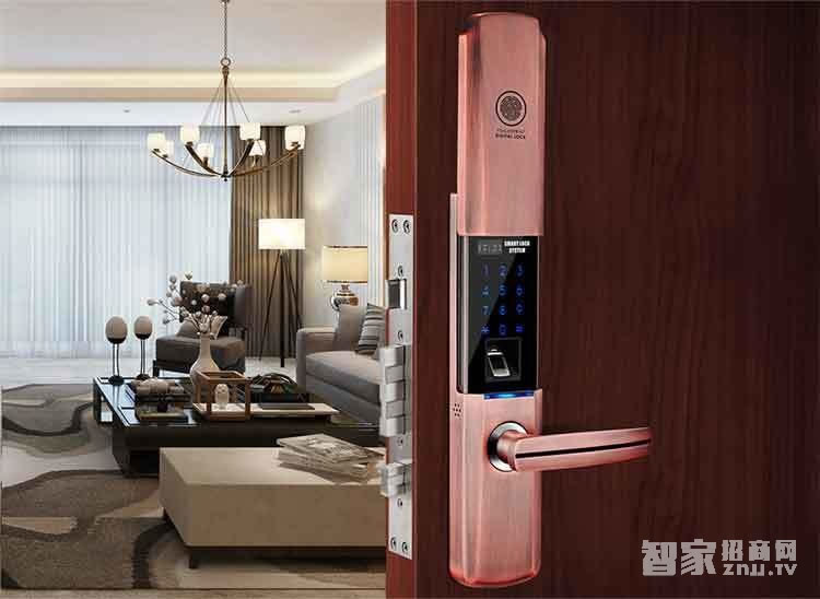 堅甲衛士瑞典指紋頭平滑蓋指紋鎖 密碼刷卡鎖