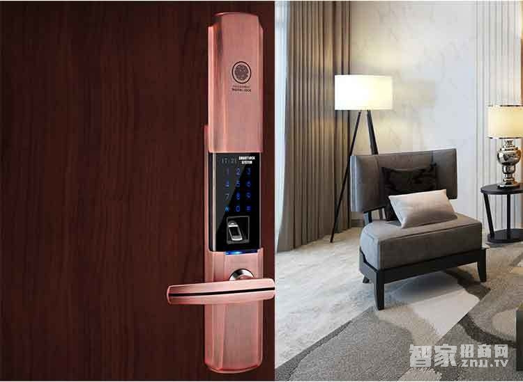 堅甲衛士瑞典指紋頭平滑蓋指紋鎖 密碼刷卡鎖