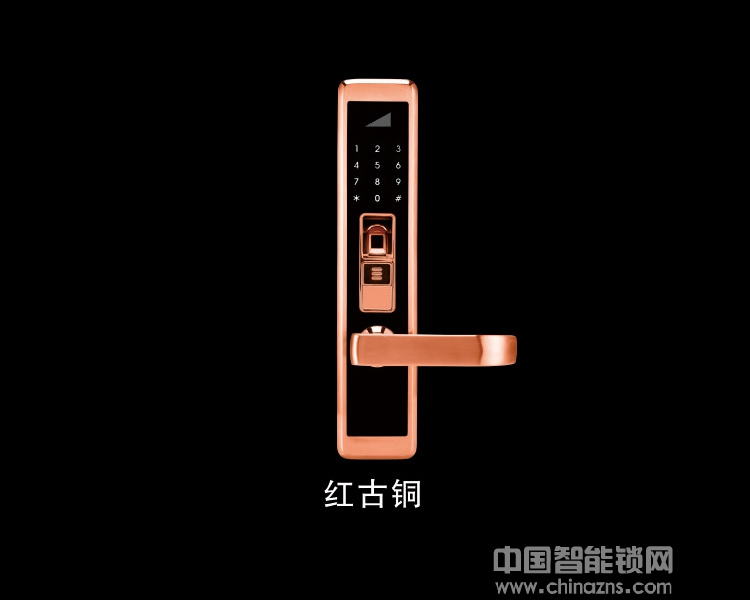 佳悅鑫指紋鎖JYX-T8800智能鎖 家用防盜門電子鎖