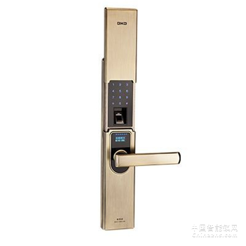 必凱必高檔滑蓋指紋鎖 別墅公寓防盜門鎖