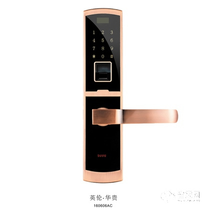 歐超直板智能鎖 指紋密碼鎖 直板鎖英倫華貴160606