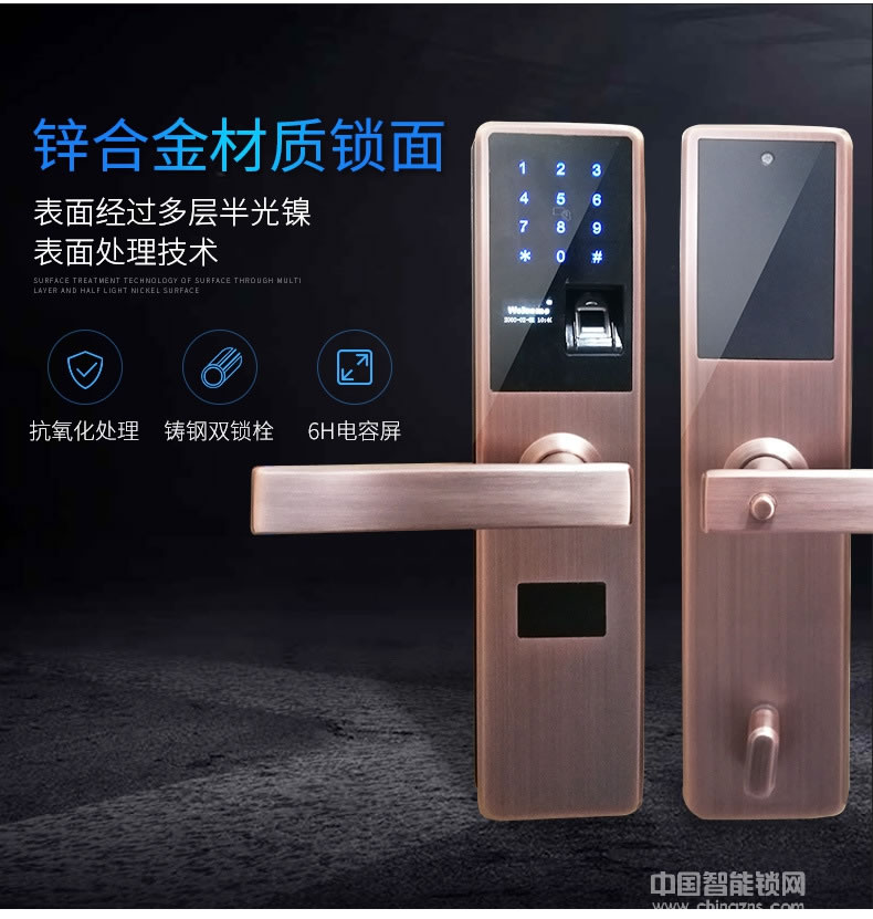 黑將軍指紋鎖 家用電子防盜門鎖 磁卡密碼指紋鎖