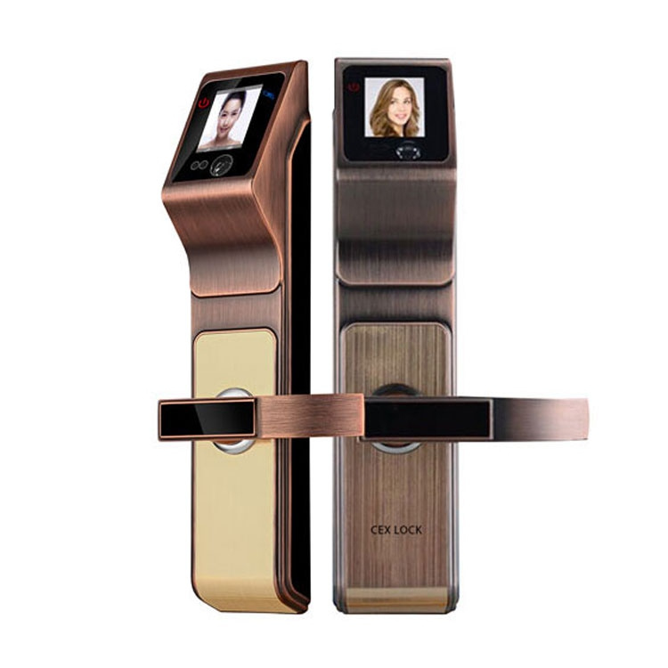 誠(chéng)爾鑫人臉識(shí)別智能鎖 室內(nèi)人臉識(shí)別鎖