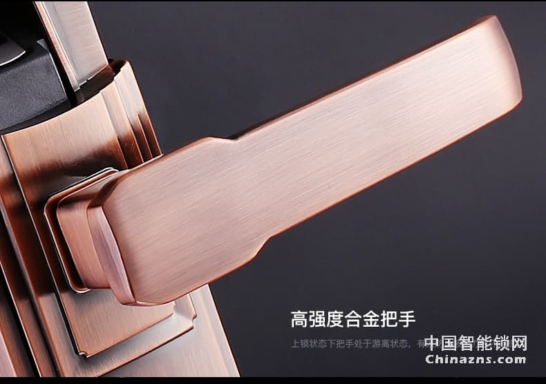 匯泰龍指紋鎖69093 家用防盜鎖電子指紋密碼鎖大門房門指紋鎖