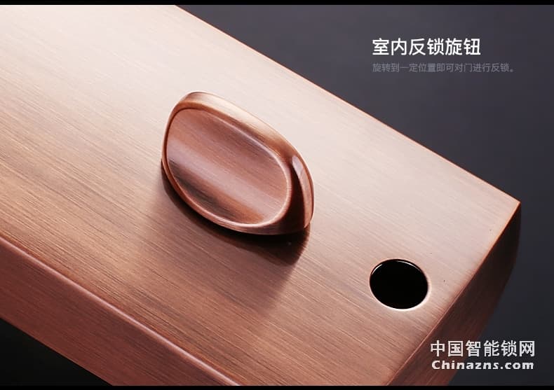 匯泰龍指紋鎖69093 家用防盜鎖電子指紋密碼鎖大門房門指紋鎖