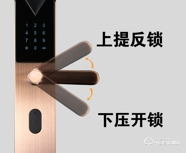 普泰升指紋鎖 智能密碼鎖 感應大門電子鎖