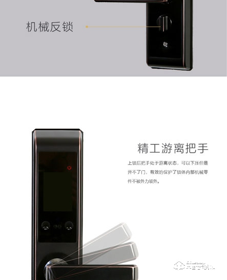 艾瑞斯智能鎖 人臉識(shí)別智能鎖 家用防盜密碼鎖