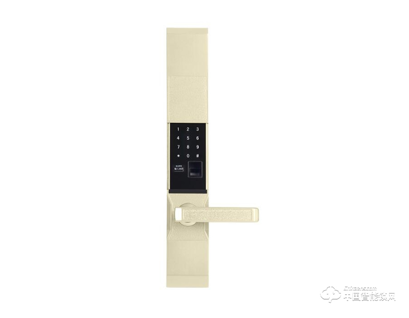 賽福洛克指紋鎖 土豪金滑蓋指紋鎖 家用智能密碼鎖G19