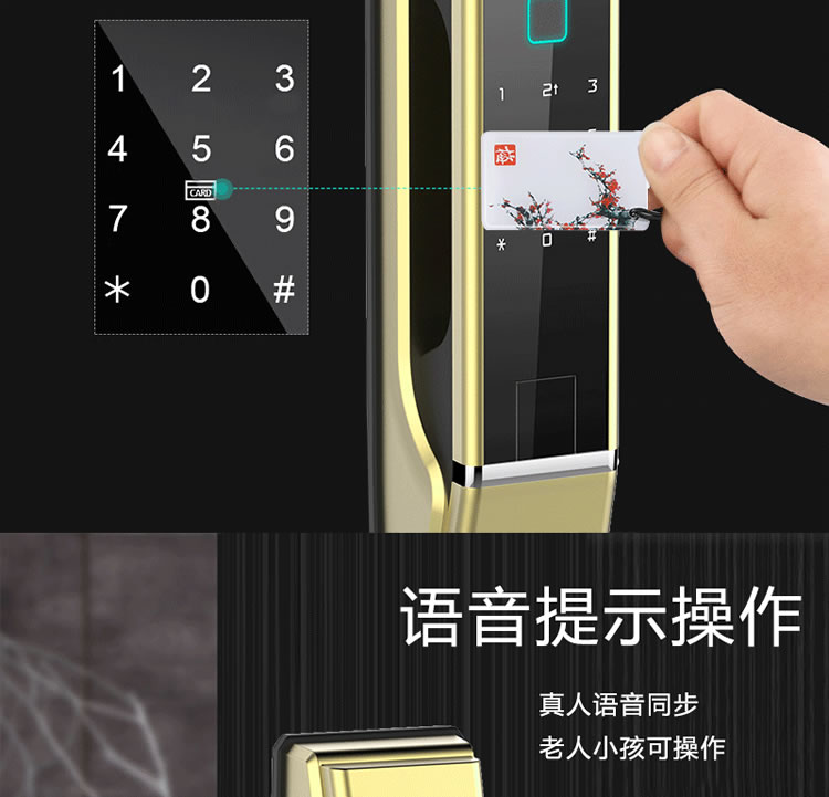 皇家金盾智能鎖 Q1家用智能門鎖推拉式開(kāi)鎖