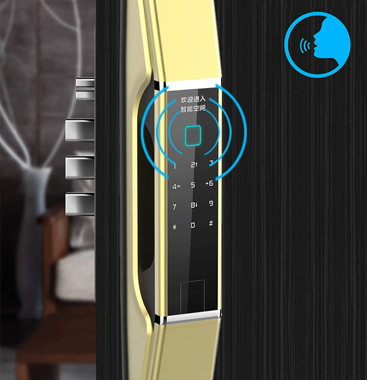 皇家金盾智能鎖 Q1家用智能門鎖推拉式開(kāi)鎖