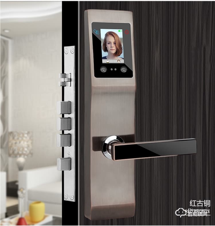 久富智能鎖 人臉識別智能鎖 家用防盜密碼鎖