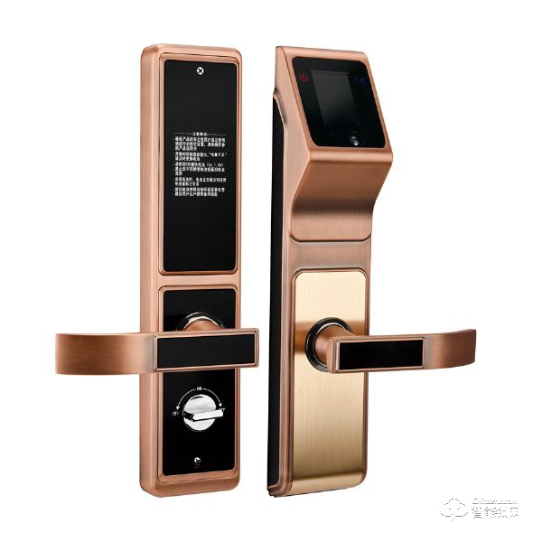 帝門智能鎖 DM-9988紅古銅人臉識別智能鎖