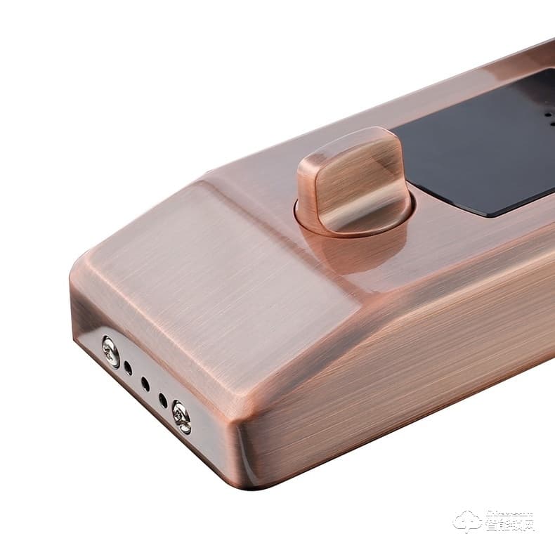 吉斯盾智能鎖 LZ-R100面部識別掌紋識別紅外智能鎖