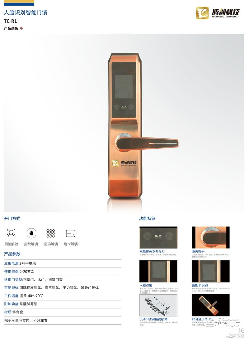 騰創(chuàng)智能鎖 鋅合金別墅門木門人臉識(shí)別鎖 防盜門智能鎖