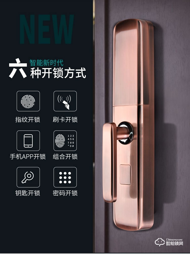 羅斯盾智能鎖 家用防盜門電子門鎖磁卡鎖