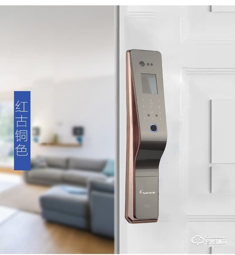 頂吉智能鎖 TOP300R人臉識別門鎖智能鎖指紋密碼鎖