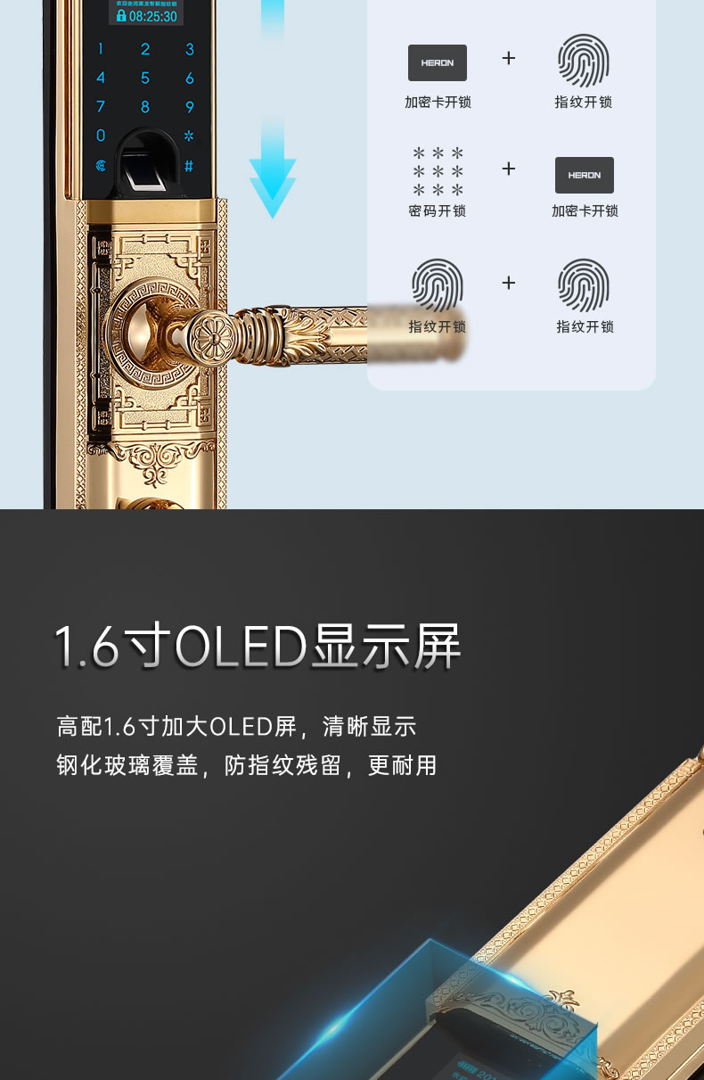 黑龍智能鎖 802別墅門指紋鎖家用防盜門鎖