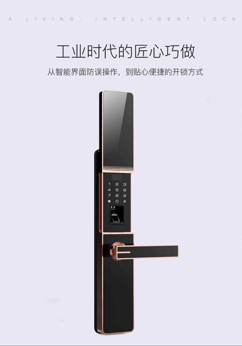 佰德龍智能鎖 219家用防盜門指紋鎖遠程智能鎖