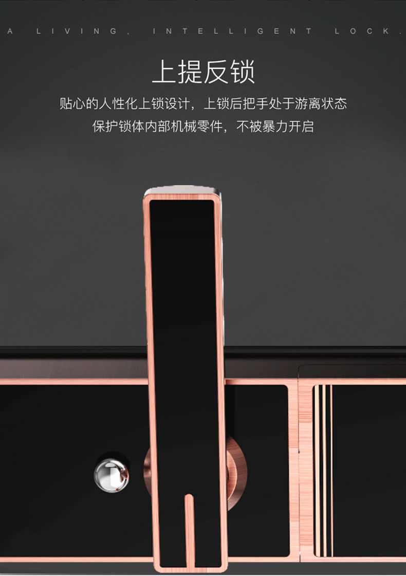 佰德龍智能鎖 219家用防盜門指紋鎖遠程智能鎖