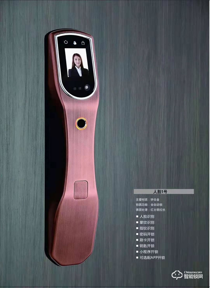 拉多拉斯智能鎖 人臉1號(hào)全自動(dòng)智能鎖