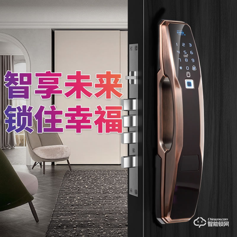 艾爾邁智能鎖 家用防盜門遠程大門電子密碼鎖