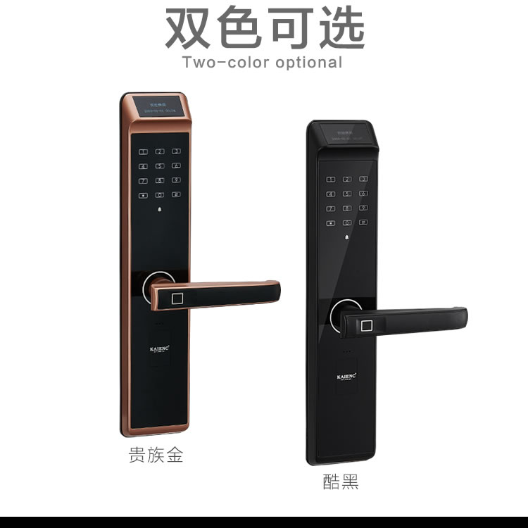 凱恩斯智能鎖 極光家用磁卡密碼鎖防盜門入戶鎖