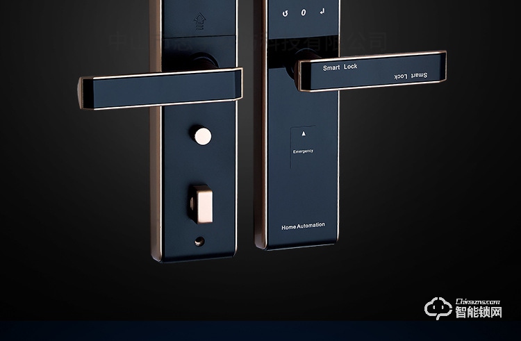 獅柯裝甲鎖 HD02自動(dòng)滑蓋家用防盜門智能鎖