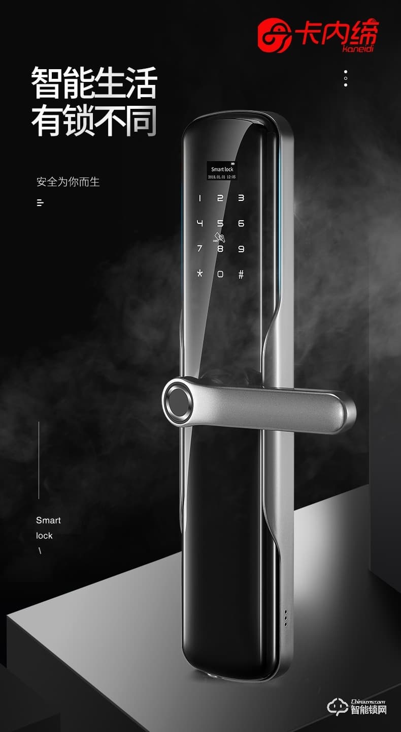 卡內(nèi)締智能鎖  R15家用防盜門智能鎖