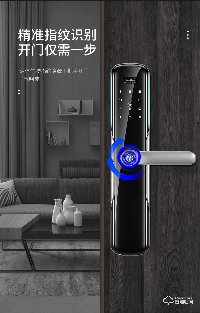 卡內(nèi)締智能鎖  R15家用防盜門智能鎖