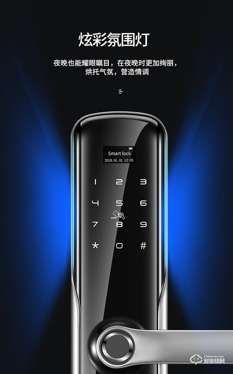 卡內(nèi)締智能鎖  R15家用防盜門智能鎖