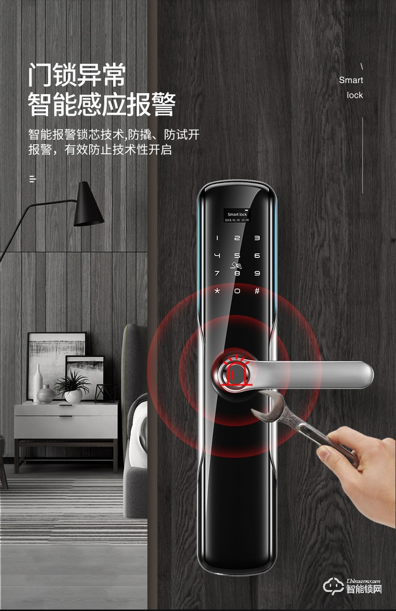 卡內(nèi)締智能鎖  R15家用防盜門智能鎖