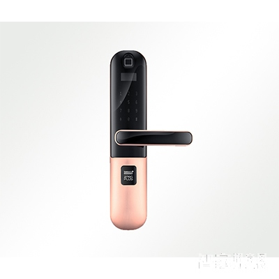 智家人指紋密碼鎖 防盜門電子鎖 感應(yīng)卡鎖