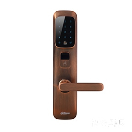 大華樂(lè)橙指紋鎖 多種開(kāi)鎖方式