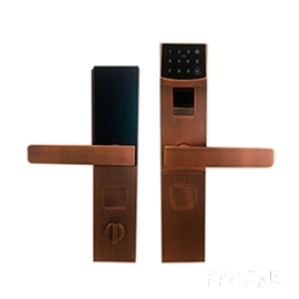 智能屋智能鎖 防盜門木門指紋密碼鎖(紅古銅)