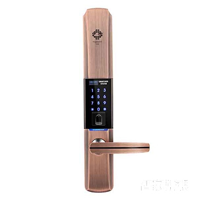 堅甲衛士瑞典指紋頭平滑蓋指紋鎖 密碼刷卡鎖