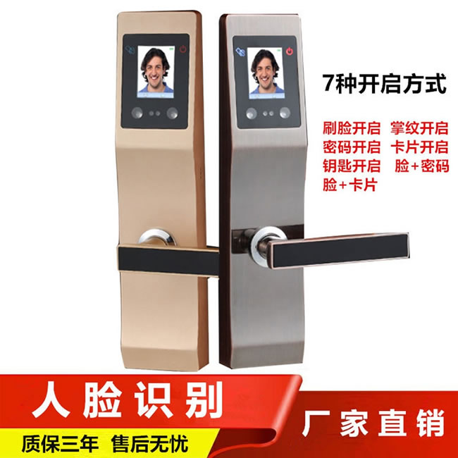 云領(lǐng)人臉識別智能鎖 公寓防盜門智能鎖