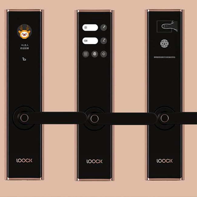 鹿客(LOOCK)Touch2 Pro防水指紋鎖 觸屏指紋鎖