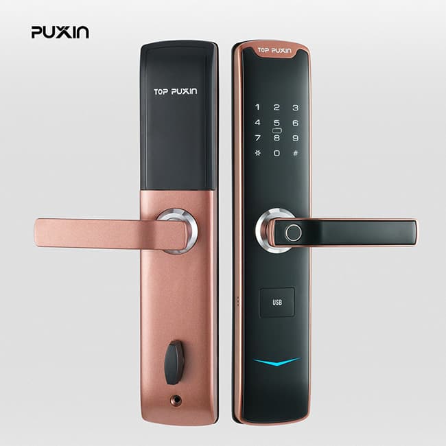 普鑫智能指紋密碼鎖 家用防盜門鎖 大門磁卡感應電子鎖