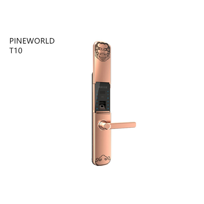 青松沃德智能鎖 家用指紋密碼鎖 防盜門智能鎖