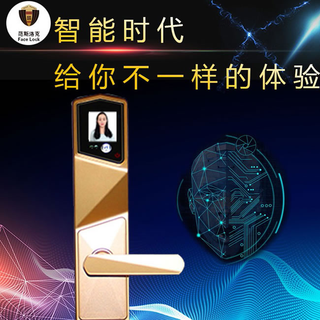 范斯洛克智能鎖 古銅色第二代人臉識別鎖