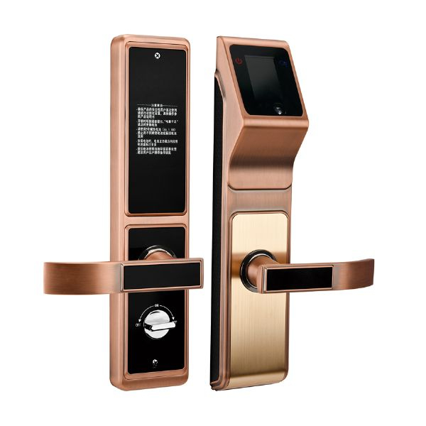 帝門智能鎖 DM-9988紅古銅人臉識別智能鎖